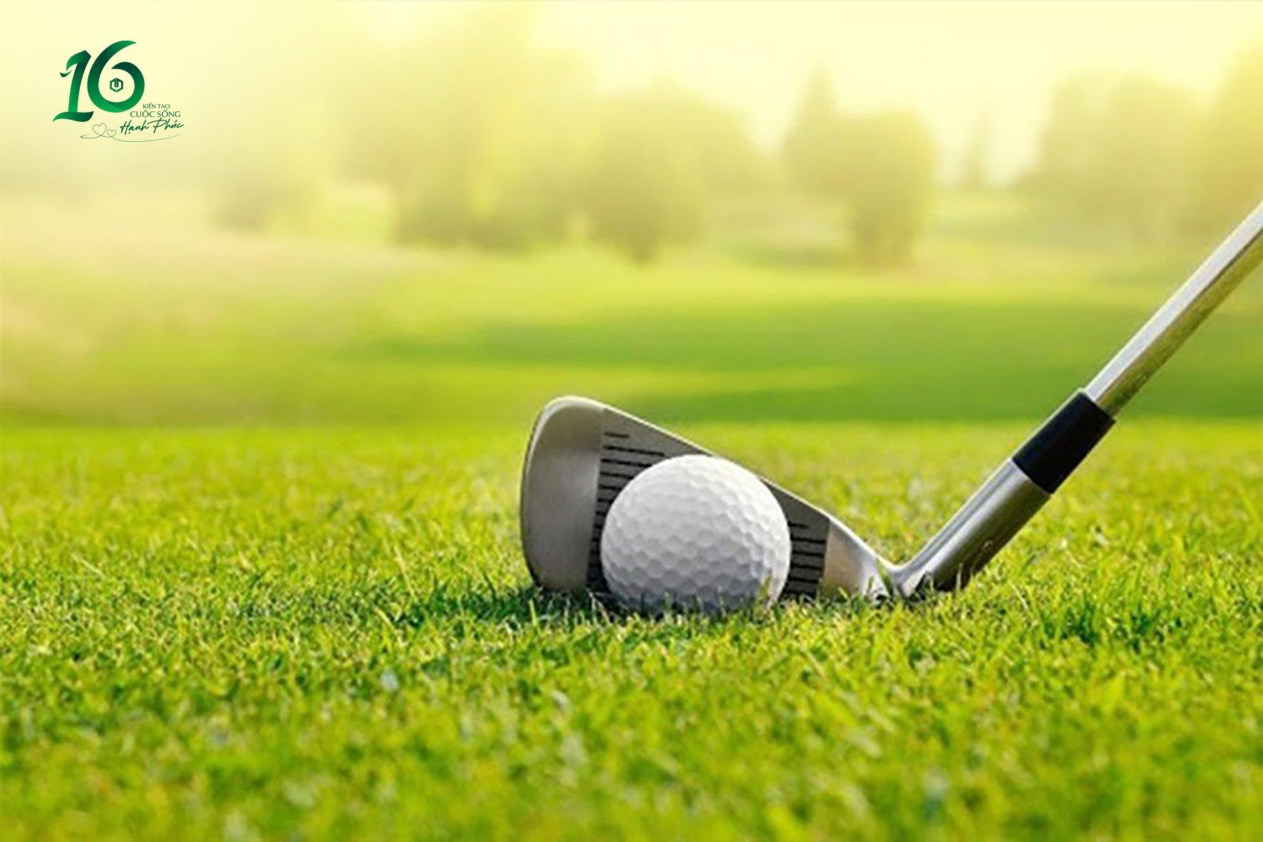 Tran Anh Group tổ chức giải Golf mừng kỷ niệm 16 năm thành lập tập đoàn